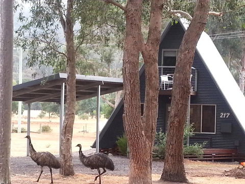 The A-Frame - Accommodation Redcliffe 9