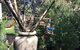 Moonah Woodlands Resort - thumb 38