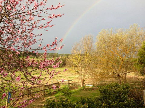 Australian Home Away @ Wonga Park Brushy Creek - Accommodation Redcliffe 19