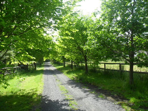 Australian Home Away @ Wonga Park Brushy Creek - Accommodation Redcliffe 0