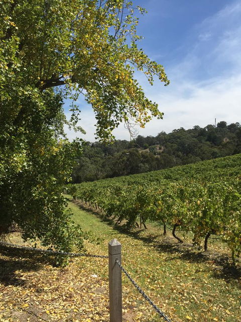 Australian Home Away @ Wonga Park Brushy Creek - Accommodation Redcliffe 1