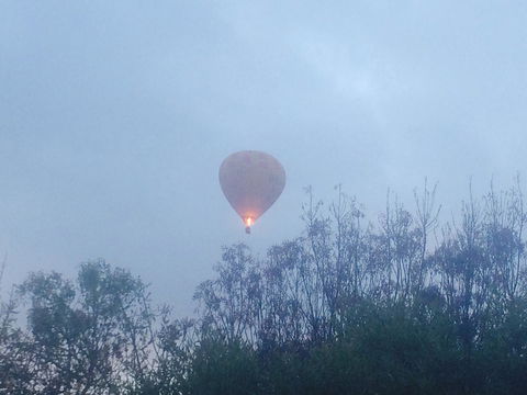 Australian Home Away @ Wonga Park Brushy Creek - Accommodation Redcliffe 21