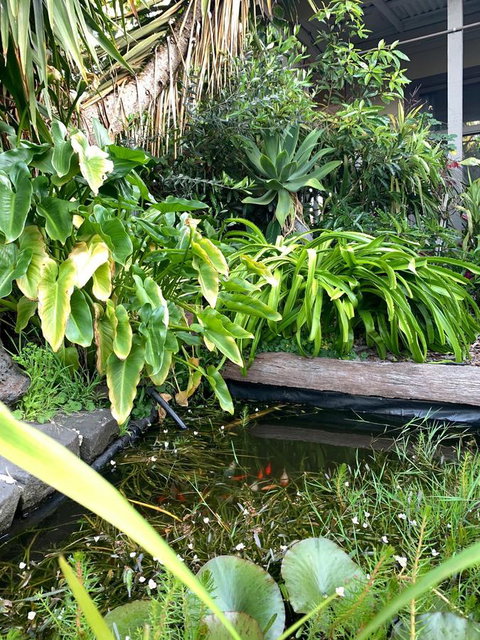 Sunryes Beach House - Accommodation Redcliffe 30