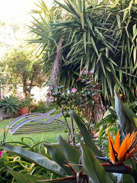 Sunryes Beach House - Accommodation Redcliffe 32