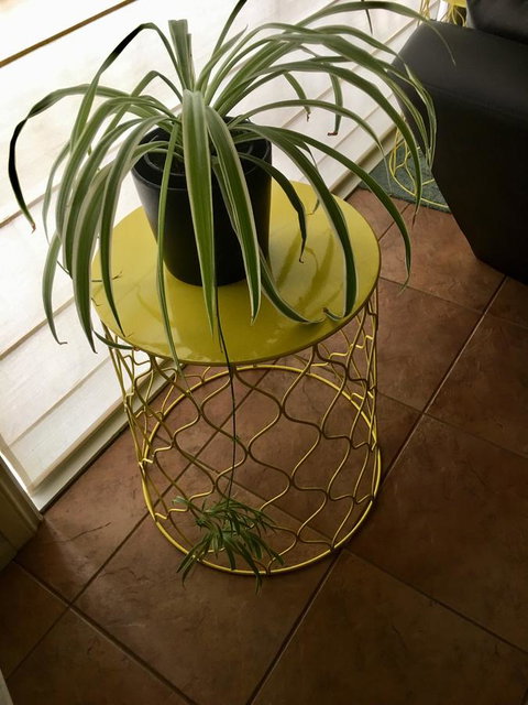 Nest On A Crest - Accommodation Redcliffe 5