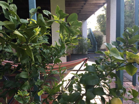 Nest On A Crest - Accommodation Redcliffe 30