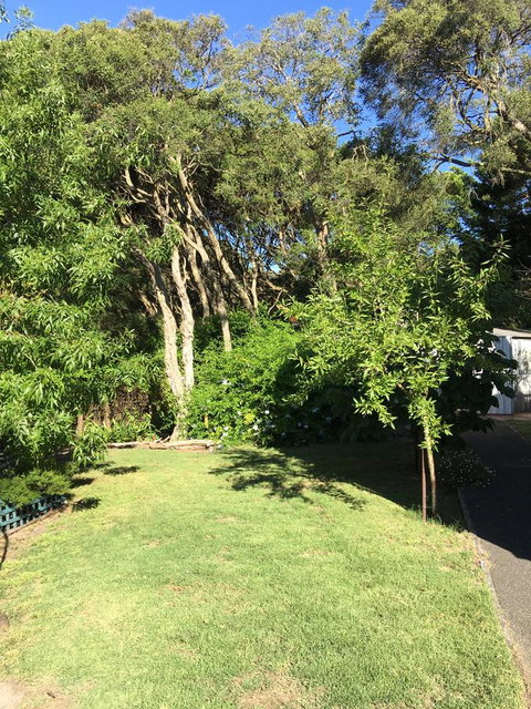 Nest On A Crest - Accommodation Redcliffe 35