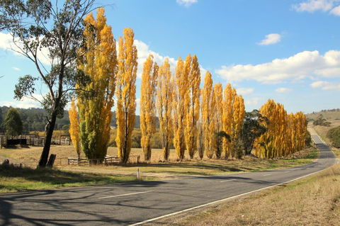 3 Bells Alpine Cottage - Accommodation Redcliffe 20