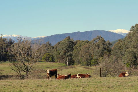3 Bells Alpine Cottage - Accommodation Redcliffe 21