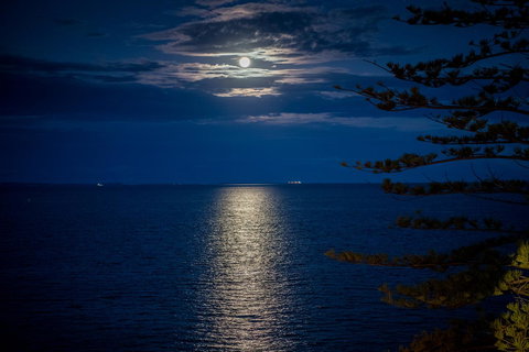 The Sebel Brisbane Margate Beach - Accommodation Redcliffe 10