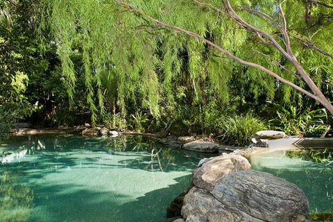 Thala Beach Nature Reserve - Accommodation Redcliffe 30