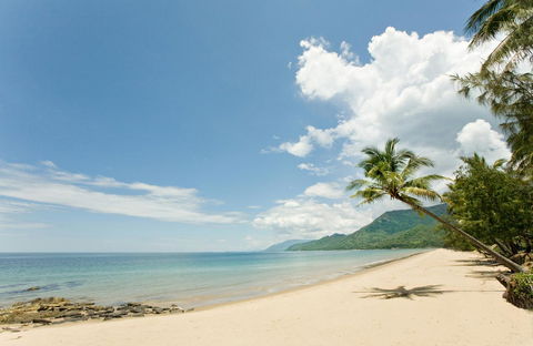 Thala Beach Nature Reserve - Accommodation Redcliffe 34