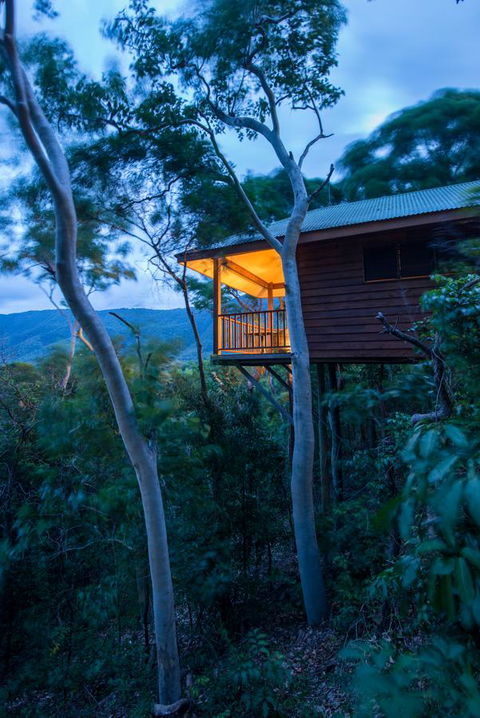 Thala Beach Nature Reserve - Accommodation Redcliffe 19
