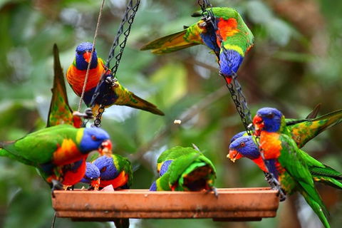Thala Beach Nature Reserve - Accommodation Redcliffe 43