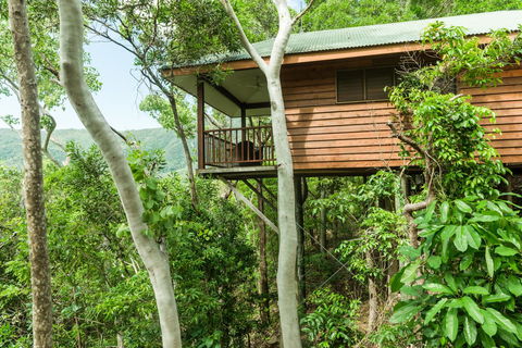 Thala Beach Nature Reserve - Accommodation Redcliffe 17