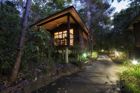 Thala Beach Nature Reserve - Accommodation Redcliffe 20