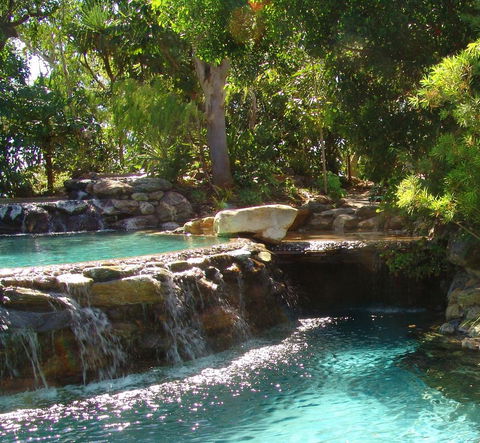 Thala Beach Nature Reserve - Accommodation Redcliffe 29