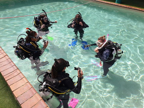 Backpackers In Paradise 18-35 Hostel - Accommodation Redcliffe 18