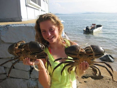 Blue On Cockle - Accommodation Redcliffe 6