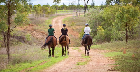 Ironbark House - Accommodation Redcliffe 22