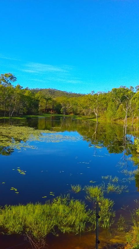Ironbark House - Accommodation Redcliffe 21