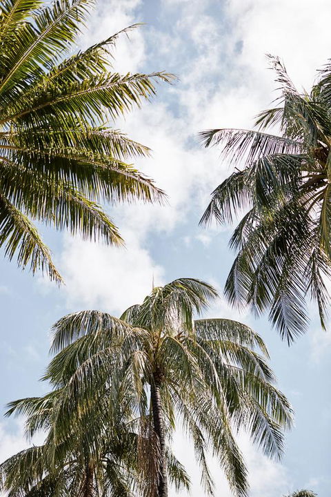Novotel Cairns Oasis Resort - Accommodation Redcliffe 9