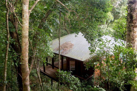 Cairns Rainforest Retreat - Accommodation Redcliffe 0