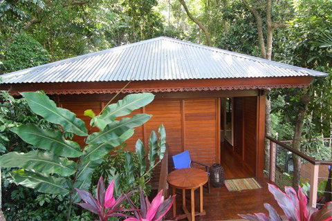 Cairns Rainforest Retreat - Accommodation Redcliffe 5