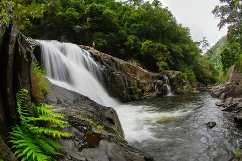 Coral Tree Inn - Accommodation Redcliffe 40