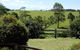 Malanda Manor Guesthouse - thumb 17