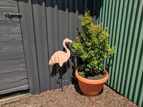 Lilly Pilly House - Accommodation Redcliffe 10