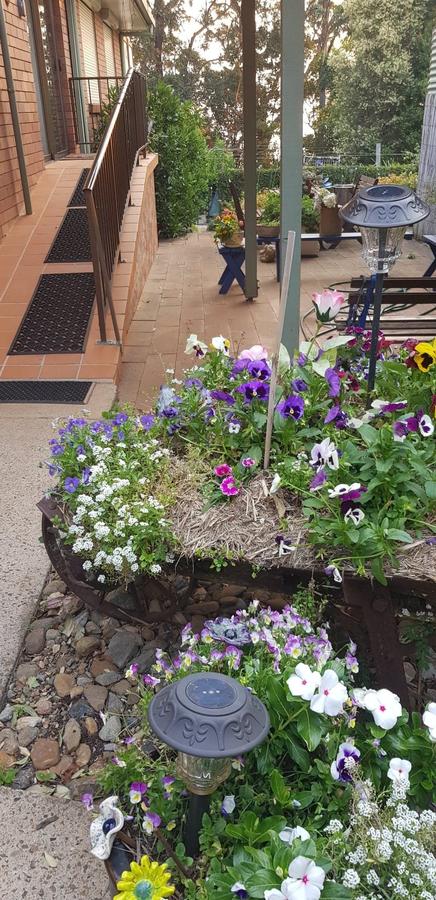 Manitzky Magic -B&B Home With Heart - Accommodation Redcliffe 8