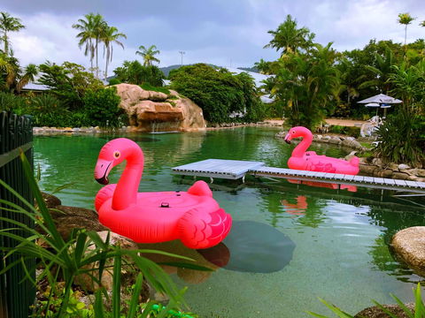 Cairns Colonial Club Resort - Accommodation Redcliffe 6