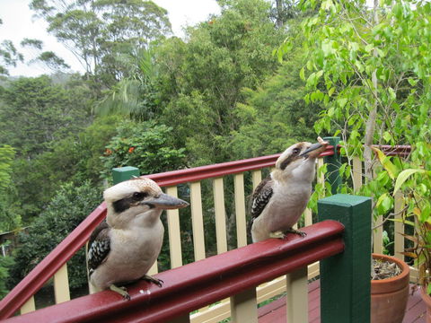 Shasta Place - Accommodation Redcliffe 12
