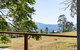 Hollow Tree Farm - thumb 23