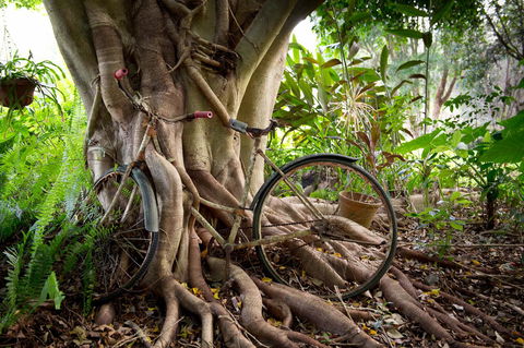 Sharlynn By The River - Accommodation Redcliffe 27