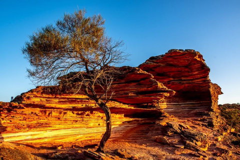 Waterside House Kalbarri - Accommodation Redcliffe 2