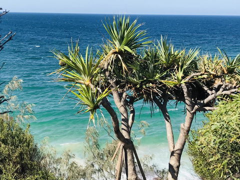 Waves And White Horses Seaview Retreat (adults Only) - Accommodation Redcliffe 0