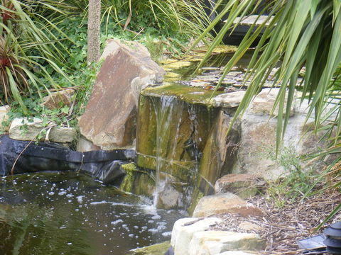 Weeroona Bed And Breakfast - Accommodation Redcliffe 2