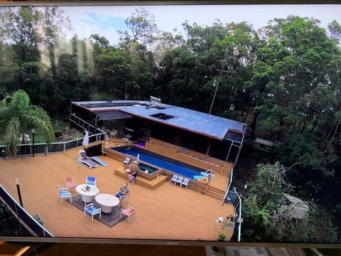 Where The Forest Meets The Sea On The Gold Coast - Accommodation Redcliffe 0