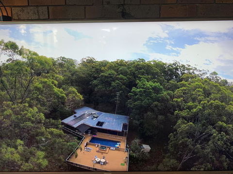 Where The Forest Meets The Sea On The Gold Coast - Accommodation Redcliffe 1