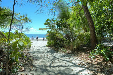 Whispering Palms - Accommodation Redcliffe 1