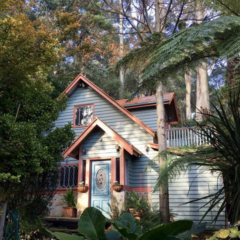 Wild Orchid Olinda - Accommodation Redcliffe 3
