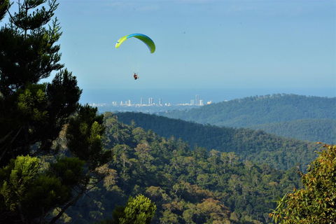 Willow Cabin - Accommodation Redcliffe 1