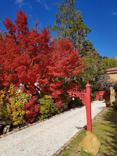 Winston Cottage At Three Sisters - Accommodation Redcliffe 1