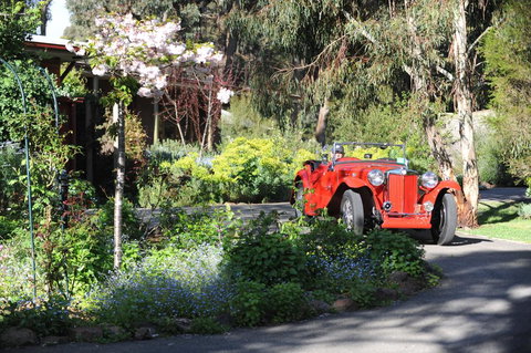 Wintarni Olives Cottage - Accommodation Redcliffe 1