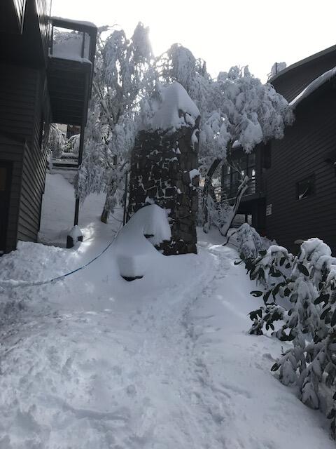 Winterbrook Chalet - Accommodation Redcliffe 2