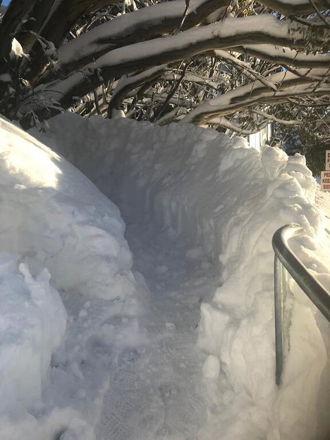 Winterbrook Chalet - Accommodation Redcliffe 1