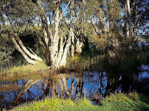 Wisteria Cottage On The Lagoon/Beach - Accommodation Redcliffe 2