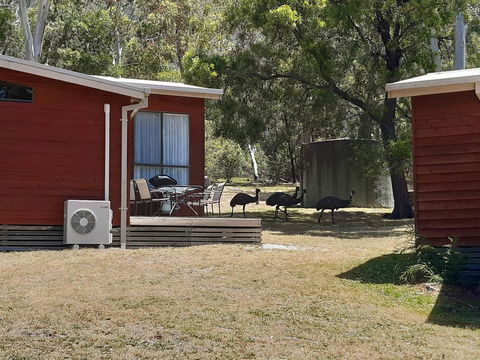 Wonderland Cottages - Accommodation Redcliffe 3